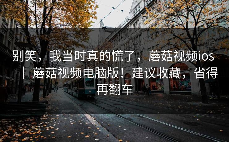 别笑，我当时真的慌了，蘑菇视频ios ｜ 蘑菇视频电脑版！建议收藏，省得再翻车  第1张